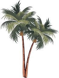 5/ une fois mon palmier terminé, je le contraste par endroits pour donner du volume à l'ensemble de mon dessin. Adhesif Deco Arbre Palmiers Dessin Tenstickers