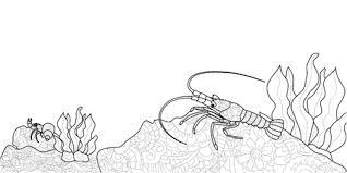 livre de coloriage anti stress pour adultes crustace au fond la riviere cancer ou crevette ecrevisses lignes noires clip art libres droits vecteurs et illustration image 97548707 pages beyblade gratuites