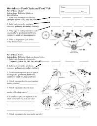 3322472e4af0907169a96b548f1d9fff Jpg 1275 1650 Food Web Worksheet Food Chain Worksheet Science Worksheets