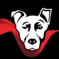 Alpha Media USA Overview