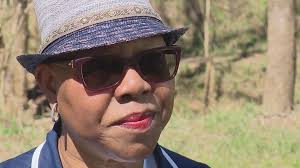 Meck Dems chair leadership facing questions in wake of 2024 election watch  party