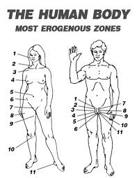 What Were The 7 Erogenous Zones Monica Teaches Chandler In