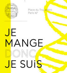 Lauréat concours courts métrages à films ouverts 2012 (organisé par média animation). Je Mange Donc Je Suis Au Musee De L Homme A Paris Place To Be Provocateur D Envies