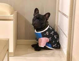Fren French Bulldog Clothes French Bulldog Baby Clothes
