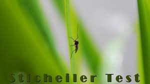 Stichheiler Test Was Hilft Gegen Muckenstiche Wir Verraten Es