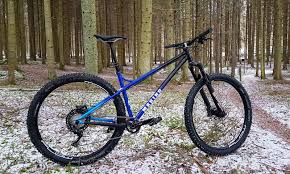 Marino Custom Hardtail Fr0sty S Bike Check Vital Mtb Hardtail Mtb Bike Seat Mountain Biking