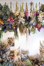 Luckily, it's easy to preserve all sorts use string or dental floss to hang flowers upside down in a cool, dark, dry, indoor spot. Return Of The Living Dead How Dried Flowers Made A Comeback Stuff Co Nz
