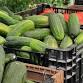 Carbondale Farmers Market event image