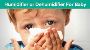 Do I Need A Humidifier Or Dehumidifier For Baby