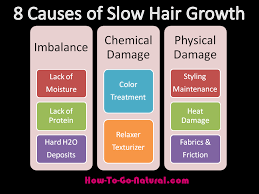 Graying often begins in the 30s. 8 Reasons For Slow Hair Growth Slow Hair Growth Healthy Hair Journey Healthy Hair Tips