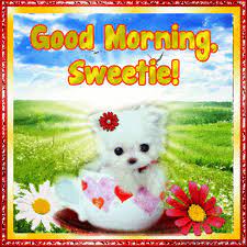 A prayer to bless your way…. 8 Good Morning Sweetie Pictures