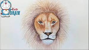 How To Draw Lion Face Step By Step Youtube Lion Face Drawing Drawings Cute Kawaii Drawings