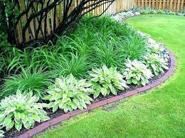 Landscape Shady Areas Landscaping Ideas For Shaded Areas Shady Backyard Landscape Ideas Shady Garden Landscaping Backyard Landscaping Planting Flowers Backyard