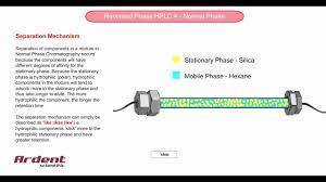 Reversed Phase Hplc 4 Normal Phase Mechanism Youtube