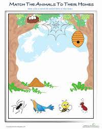 Animals And Their Homes Worksheet Education Com Animals And Their Homes Animals And Their Homes Worksheets Animals For Kids