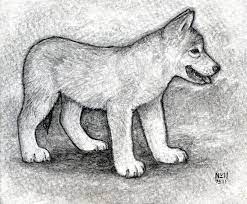 Each puppy is exposed to a variety of situations and environments, from other farm animals to children; How To Draw A Wolf Puppy Step By Step Drawing Guide By Finalprodigy Dragoart Com