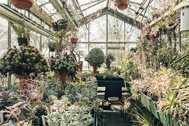 botanische tuin zuidas amsterdam haarkon tuin amsterdam greenhouse