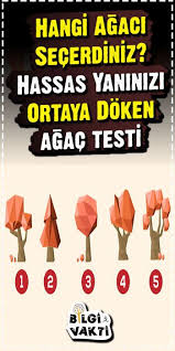 Hangi Agaci Secerdiniz Hassas Yaninizi Ortaya Doken Agac Testi Psikolojik Gercekler Kisilik Tipleri Isaret Parmagi