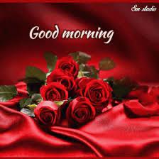 Sep 04, 2016 · the farmers gain by being able to plant crops such as coffee in the shade of the fig trees. Good Morning Love Gif Good Morning Love Gifs