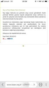 Saclarimi Nereye Bagislayabilirim Sorcev