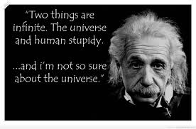 Check spelling or type a new query. Famous Quotes About Stupidity Sualci Quotes 2019