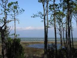 George island by ty miller on vimeo, the home for high quality videos and the people who love them. Vacation Rentals House Rentals In St George Island Flipkey