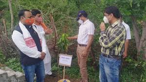 इसलिए विश्व पर्यावरण दिवस हर साल जरुर मनाये. T Oq3p7xgfdam