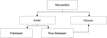 Journal of the american college of cardiology vol. Fulminant Myocarditis Epidemiology Pathogenesis Diagnosis And Management American Journal Of Cardiology