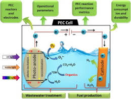 Embrio hasil pembelahan fertilisasi internal berada dalam tubuh induknya sehingga terlindungi dari lingkungan luar dan juga predator sehingga beberapa sel sperma dan sel telur tidak bertemu karena terbawa arus air atau dimakan predator, zigot hasil pembuahanpun dapat rusak karna lingkungan. Photoelectrocatalysis As A High Efficiency Platform For Pulping Wastewater Treatment And Energy Production Sciencedirect