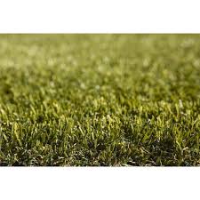 Artificial grass doesn't absorb carbon dioxide and release oxygen. Tuff Turf 3 75 X 1m K9 Synthetic Turf Bunnings Australia