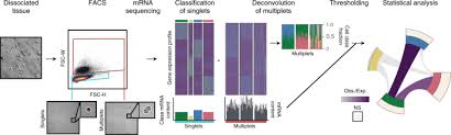 An Unsupervised Method For Physical Cell Interaction Profiling Of Complex Tissues Nature Methods