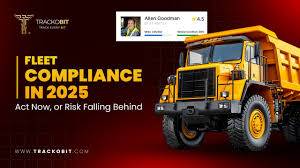 Image result for Yellow 2025 Fleet