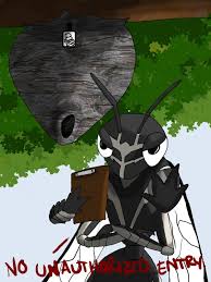 Contact a licensed pest management professional about hornet removal to avoid the risk of getting stung. Bald Faced Hornet Control Budget Pest Control