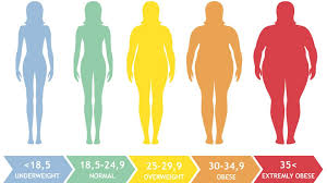 Dengan mengetahui cara kira bmi, seseorang boleh mengetahui sama ada dia kurus (kurang berat badan), normal (berat badan ideal), lebih berat badan, atau obes. Panduan Kira Bmi Yang Paling Mudah Anda Takkan Pening Kepala Lagi Bidadari My