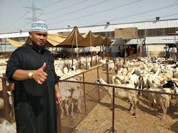 Lahir dari keluarga yang gemar beternak kambing, ahyadi mengenang awal mula bisnis kambingnya dimulai dari pemberian satu ekor kambing oleh kakeknya saat ia berusia remaja. Qurban Dan Aqiqah Kambing Mekah 2017 Denaihati