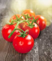 Die Tomate Tomaten Garten Fruchte Tomaten