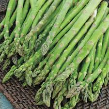 Image result for Asparagus buchananii