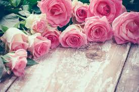 Either way you wish to interpret the meaning of pink flowers, these beauties are sure to. Rose Flower Meaning Flower Meaning