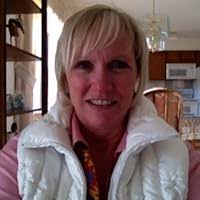 The Romeo Flag (Felony & Mayhem Mysteries) by Carolyn Hougan