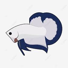 Dihalaman ini anda akan melihat gambar ikan cupang vector yang menarik! Gambar Betta Fish Blue Rim Vector Ikan Cupang Cupang Akuarium Png Dan Vektor Dengan Latar Belakang Transparan Untuk Unduh Gratis