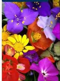 Get the best deal for lafayette collectible indiana postcards from the largest online selection at ebay.com. Dorothy L Barbee Soller Baker Funeral Homes Inc