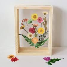 Jul 02, 2018 · now that you know how to press flowers, it's time to display all the beautiful varieties you've created. Pressed Flower Collage Workshop Assembly Pdx