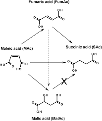 Write Out The Mechanism (Using Correct Curved Arrow Notation) For The Acid-Catalyzed,  Cis-Trans Isomerization Of Maleic Acid (Into Fumaric Acid). If The  Electrophilic Addition Reaction Of Maleic Acid | Homework.Study.Com