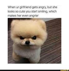 When Ur Girlfriend Gets Angry But She Looks So Cute You Start Smiling Which Makes Her Even Angrier Ifunny Animal Memes Funny Animal Memes Funny Animal Pictures