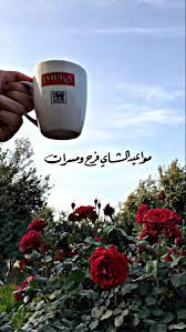 pin by mohammad assem محمد عاصم on tea tea cooking timer red peppercorn
