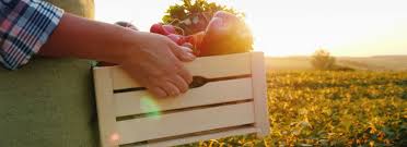 291 likes · 5 talking about this · 11 were here. 10 Farm To Table Sustainable Restaurants In Austin Local Traveller