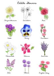 Maybe you would like to learn more about one of these? 170 Edible Flowers Ideas Edible Flowers Flowers Edible