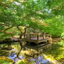 The San Francisco Botanical Garden Formerly Strybing Arboretum Is Located In San Francisco S Golden Gate Park Moon Garden Beautiful Gardens Botanical Gardens