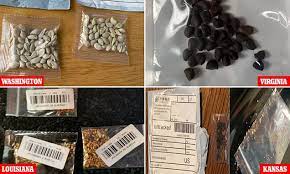 Maybe you would like to learn more about one of these? Seed Packets Mislabeled As Jewelry Have Been Mailed To Dozens Of Americans In Six States From China Daily Mail Online
