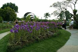 Kuala lumpur butterfly park is a veritable secret paradise where butterflies actually dance nonchalantly in clumps of fern amidst scented beautiful flowers and flowering vines. Kuala Lumpur Nature And Gardens Tour Include Entrance Marriott